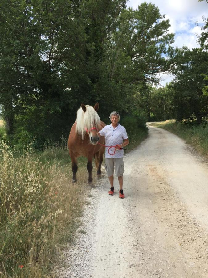B&B Et Gite D'Ayran Saint-Quentin-la-Poterie Eksteriør billede