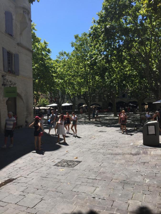 B&B Et Gite D'Ayran Saint-Quentin-la-Poterie Eksteriør billede